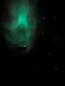 Snapshot of arcacsel chatting on 24, 11, 2025 arcacsel online show from 24, 11, 2025