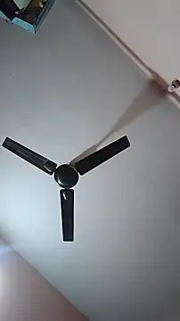 Ritik143jhil online show from 2, 6, 2026