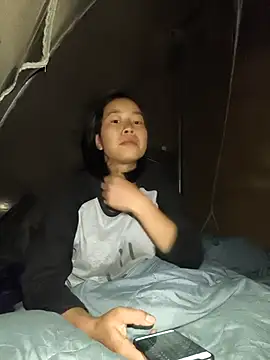 Cat-meow online show from 20, 11, 2025