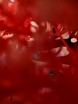 Snapshot of Jbsmaster chatting on 19, 11, 2025 Jbsmaster online show from 19, 11, 2025