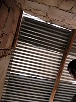 manumegumy online show from 19, 11, 2025