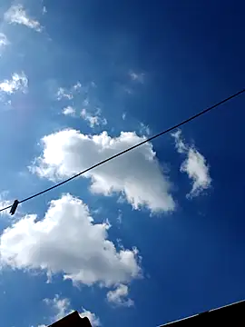 Snapshot of Eezxxx chatting on 17, 12, 2025 Eezxxx online show from 17, 12, 2025