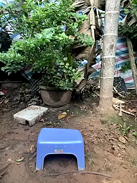 Snapshot of XndSeraphina chatting on 3, 12, 2025 XndSeraphina online show from 3, 12, 2025