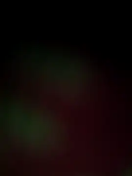 Snapshot of Nandani-758 chatting on 18, 12, 2025 Nandani-758 online show from 18, 12, 2025