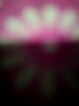 Snapshot of Nandani-758 chatting on 19, 12, 2025 Nandani-758 online show from 19, 12, 2025