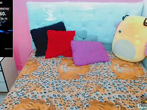 xwetdreamsx online show from 8, 1, 2026