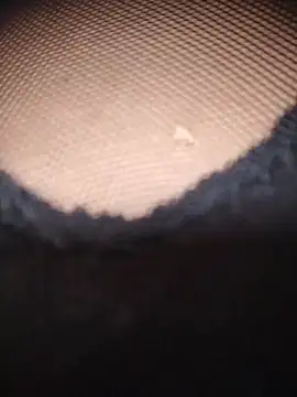 Snapshot of AnaMaria-12 chatting on 17, 12, 2025 AnaMaria-12 online show from 17, 12, 2025