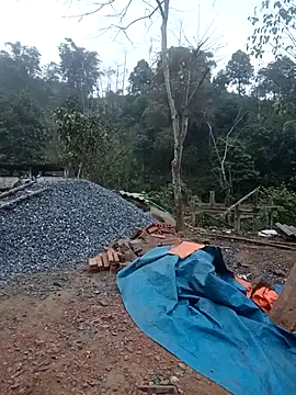 nangmo online show from 5, 2, 2026