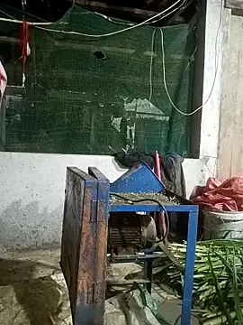 nangmo online show from 12, 3, 2026