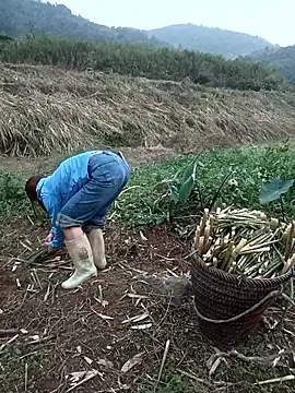 nangmo online show from 18, 3, 2026