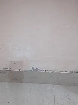 Alli8900 online show from 19, 3, 2026