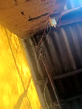 Babita Gori online show from 19, 12, 2025