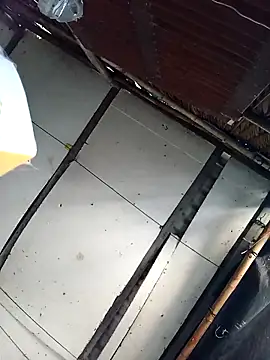 Lin-kute98 online show from 2, 3, 2026