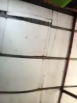 Lin-kute98 online show from 3, 3, 2026