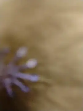 RASHMI SHARMA9 online show from 16, 2, 2026