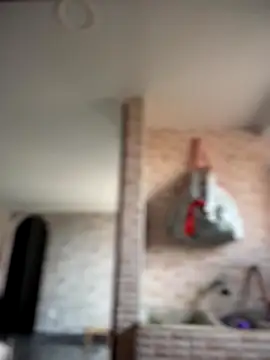 Snapshot of -Nala chatting on 2, 12, 2025 -Nala online show from 2, 12, 2025