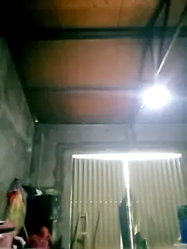 mumu661 online show from 4, 12, 2025