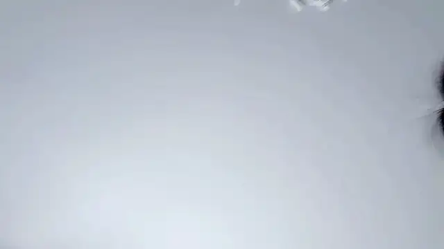 Snapshot of Celestisse- chatting on 29, 11, 2025 Celestisse- online show from 29, 11, 2025