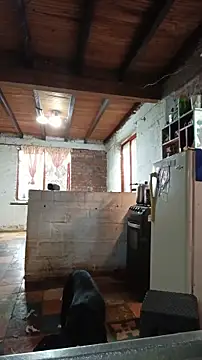 ChanneldelaCroix online show from 20, 2, 2026