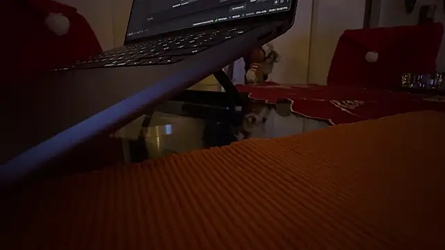 Snapshot of AndyLD20x6 chatting on 3, 12, 2025 AndyLD20x6 online show from 3, 12, 2025