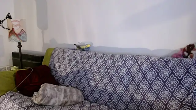 Snapshot of DeliaBlew chatting on 4, 12, 2025 DeliaBlew online show from 4, 12, 2025