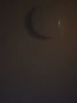 DutchMiracle26 online show from 28, 4, 2026