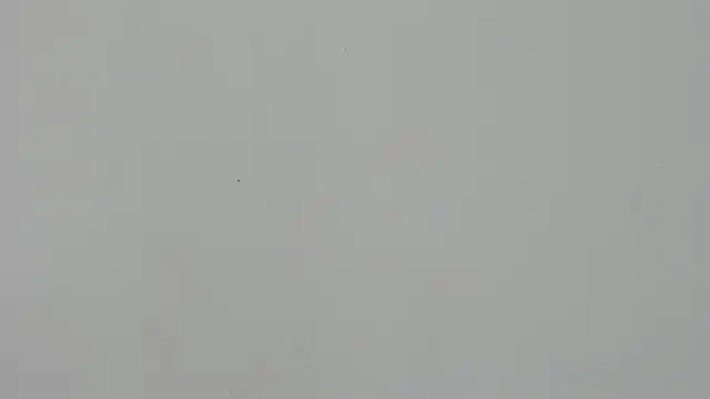 Snapshot of Ladymadinght chatting on 4, 2, 2026 Ladymadinght online show from 4, 2, 2026