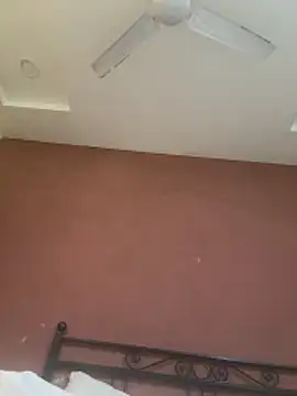 Anshtease online show from 27, 2, 2026