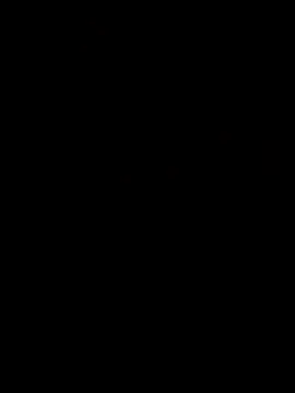 Piazza21 online show from 16, 3, 2026