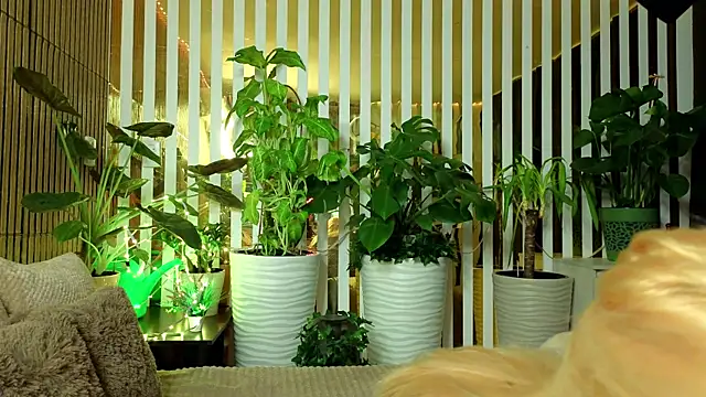 FlowweerGirl online show from 15, 12, 2025