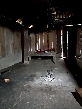 ava-dellght online show from 3, 2, 2026