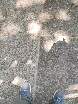 boyfromMum bai online show from 20, 3, 2026