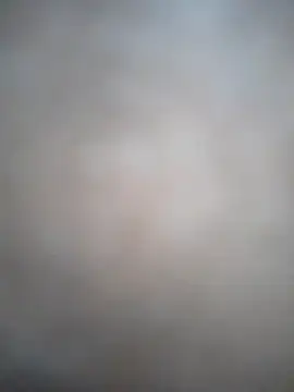 faelo189 online show from 25, 3, 2026