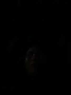 vero-obc online show from 26, 4, 2026