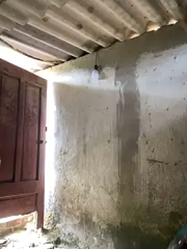 Snapshot of Samsam-006 chatting on 17, 1, 2026 Samsam-006 online show from 17, 1, 2026