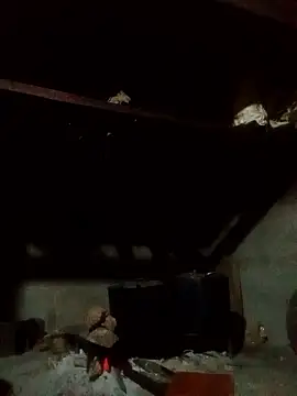 Amiluli online show from 14, 1, 2026