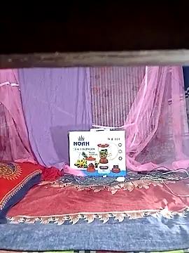 porimoi 505 online show from 7, 4, 2026