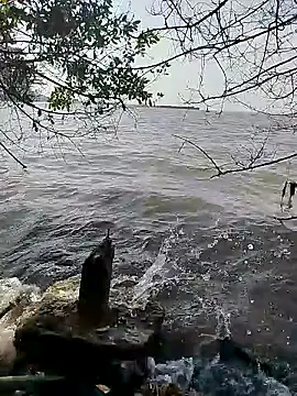 Snapshot of Andreskelly chatting on 16, 2, 2026 Andreskelly online show from 16, 2, 2026