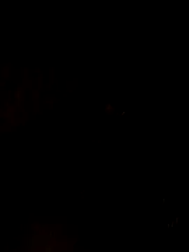 nehakapoor89 online show from 14, 12, 2025