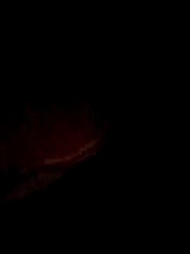 pritiqueen1001 online show from 13, 12, 2025