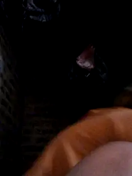 yana-zz online show from 28, 3, 2026