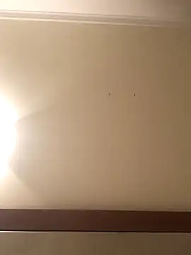 Palinchik online show from 7, 1, 2026