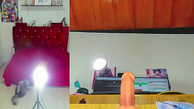 aisha funny online show from 15, 4, 2026