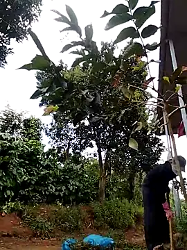 Metting88 online show from 15, 12, 2025