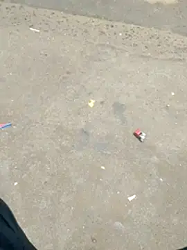 rkmumbaimeet online show from 15, 12, 2025