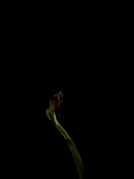 Snapshot of marcoboss chatting on 13, 12, 2025 marcoboss online show from 13, 12, 2025