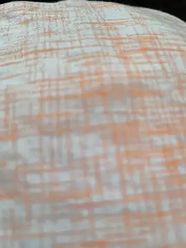 Snapshot of White-Rose-Telugu chatting on 19, 12, 2025 White-Rose-Telugu online show from 19, 12, 2025