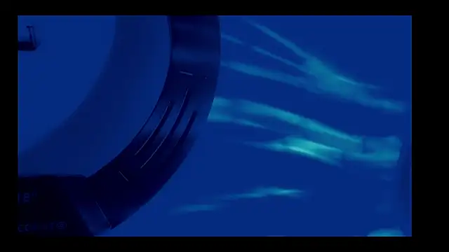 vickvalencia2 online show from 2, 3, 2026