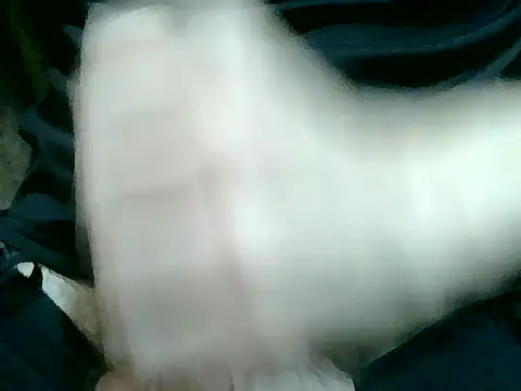 Snapshot of Thickpaper chatting on 14, 12, 2025 Thickpaper online show from 14, 12, 2025