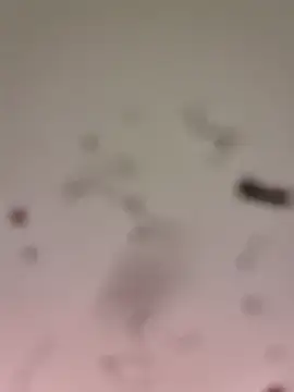 M8ygcthf3 online show from 22, 3, 2026